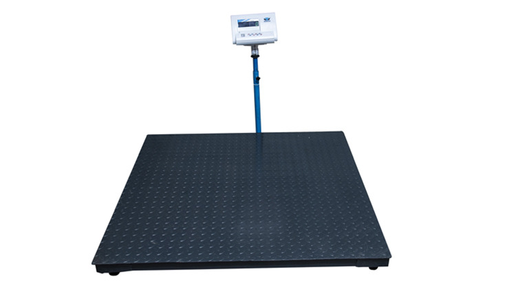 Heavy Duty Platform Scale (Model: EPSS / EPSX) by Endeavour